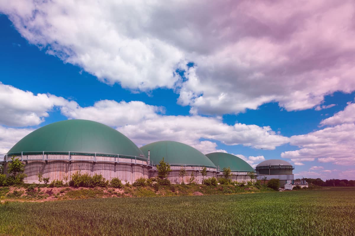 Biogas power plants include gas storage tanks, fermentors, heating systems, pumps, mixers, gas piping, organic matter storage, 