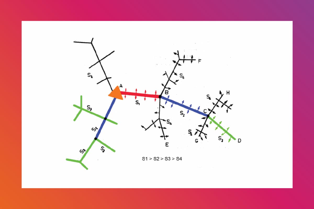 branched grids electric