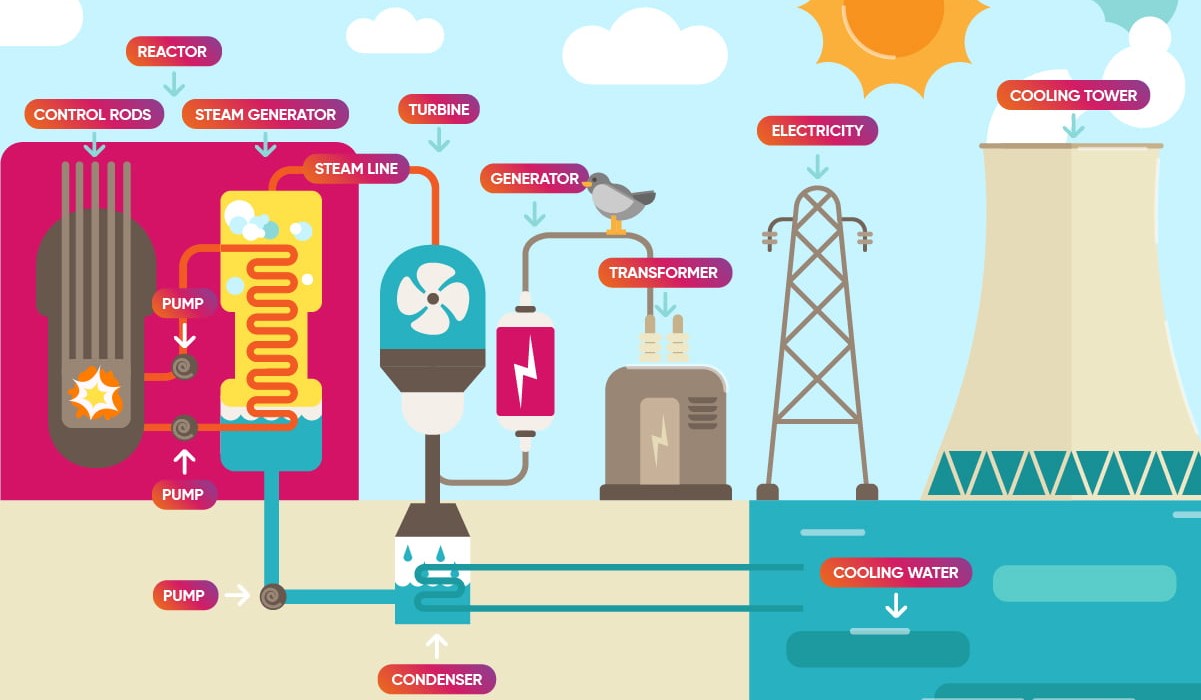 How is Electricity Generated in a Nuclear Power Plant?