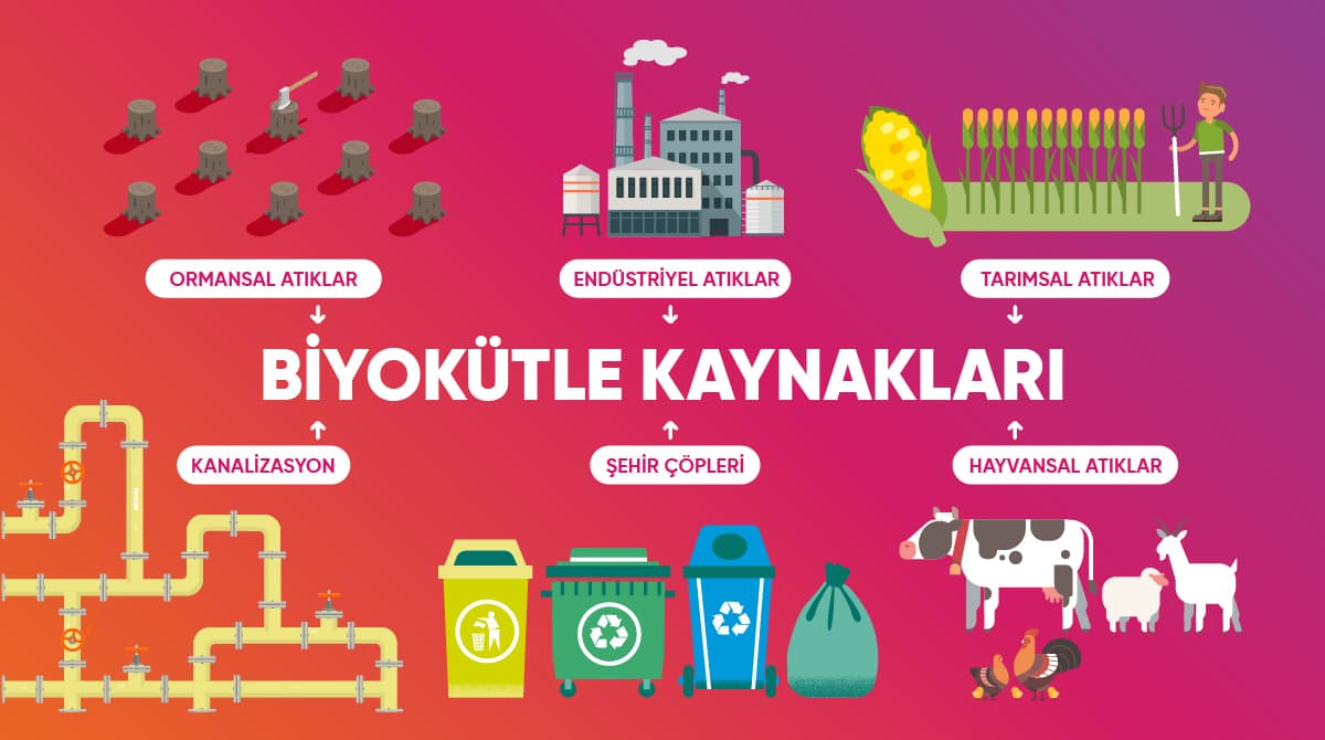 biyokütle kaynakları elektrik üretimi