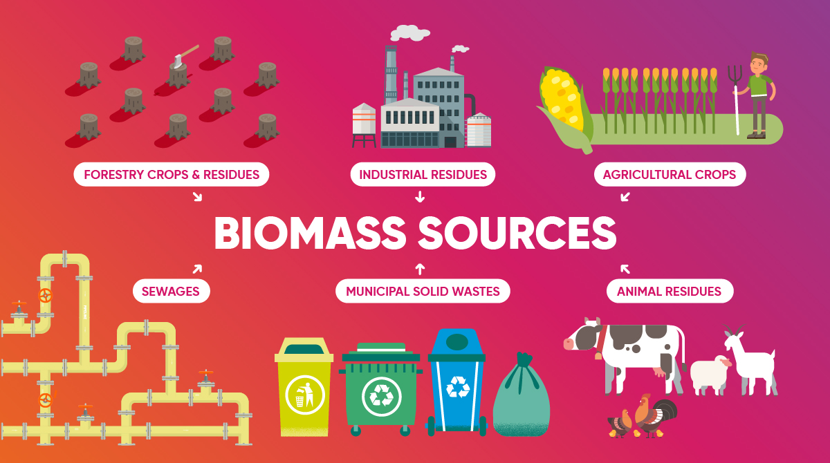 biomass sources