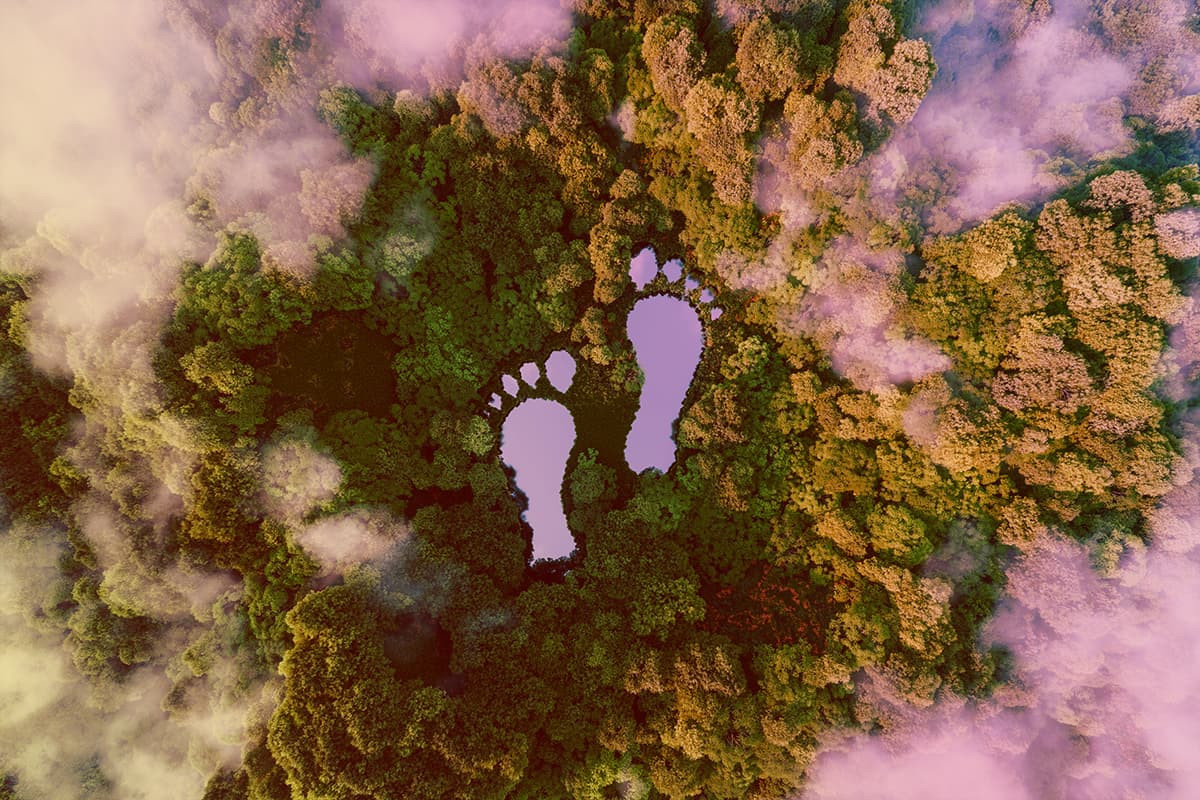      What is a Carbon Footprint? How can It be Reduced? 